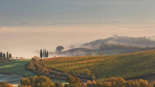 Castiglion Del Bosco - view