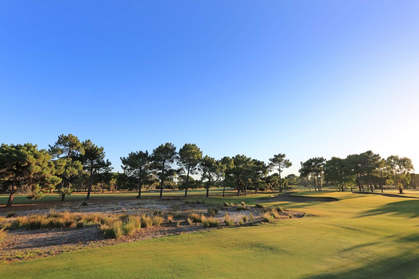 Grange West Grange West