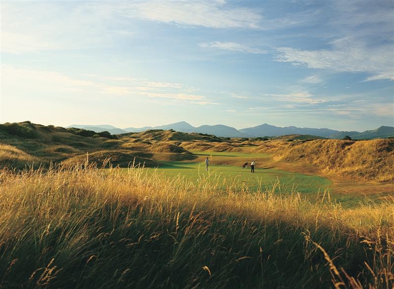 Royal St Davids Royal St Davids