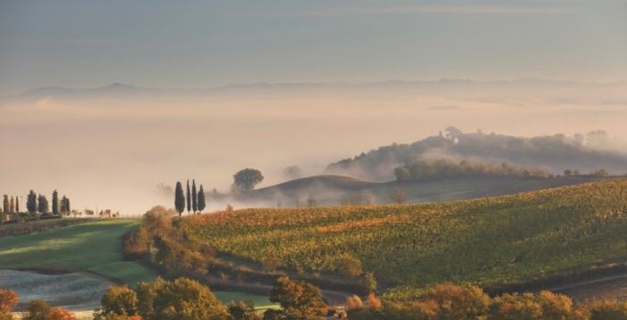 Castiglion Del Bosco - view Castiglion Del Bosco - view