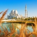 Sheik Zayed Grand Mosque in Abu Dhabi